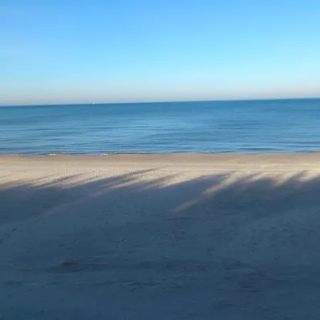 Goscinne Bosman ホームステイ *