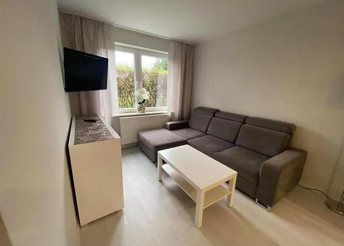 Goscinne Bosman Białogóra